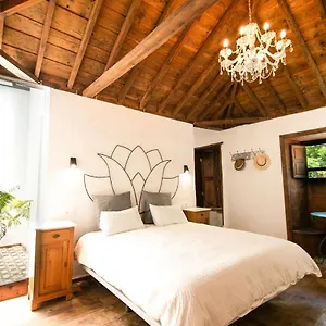  Apartamento Casa 1820